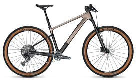Gorsko kolo Focus Raven 8.9 2023- Silver