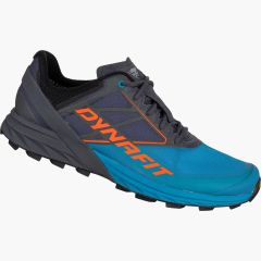Tekaški čevlji Dynafit Alpine-M_Alpine-Magnet frost-44